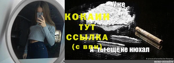 индика Беломорск