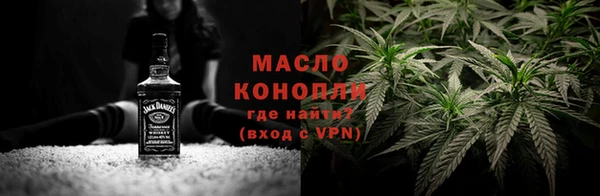 индика Беломорск