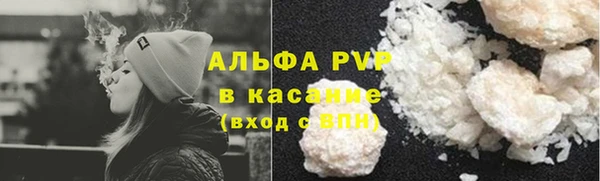 индика Беломорск