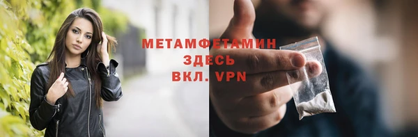индика Беломорск