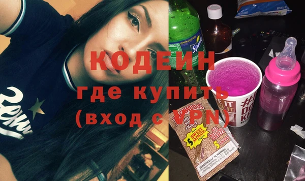 индика Беломорск