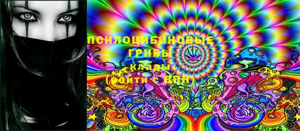 прущий лед Белокуриха