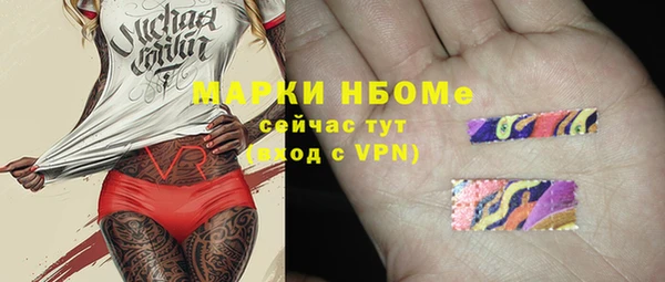 индика Беломорск