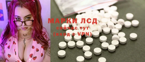 индика Беломорск